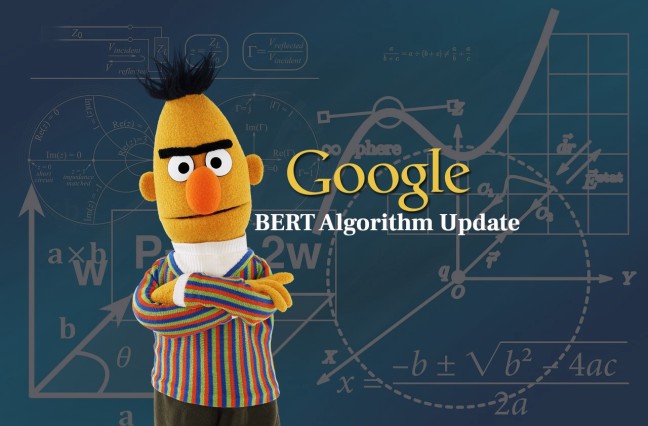 Decoding The Various Aspects Of BERT Update